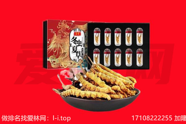 铜仁市江口回收虫草.jpg